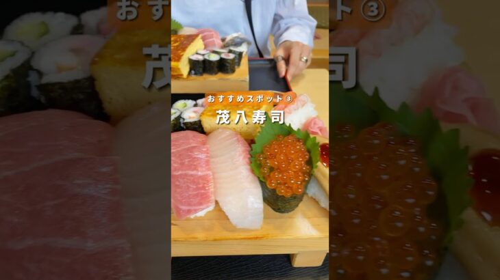 #おすすめスポット を一気にご紹介！📍千葉・茨城#千葉デート #国内旅行 #千葉観光 #茨城観光 #コスパ旅行 #千葉旅行 #茨城旅行 #おでかけ #コスパ旅 #おしゃれカフェ #デートスポット