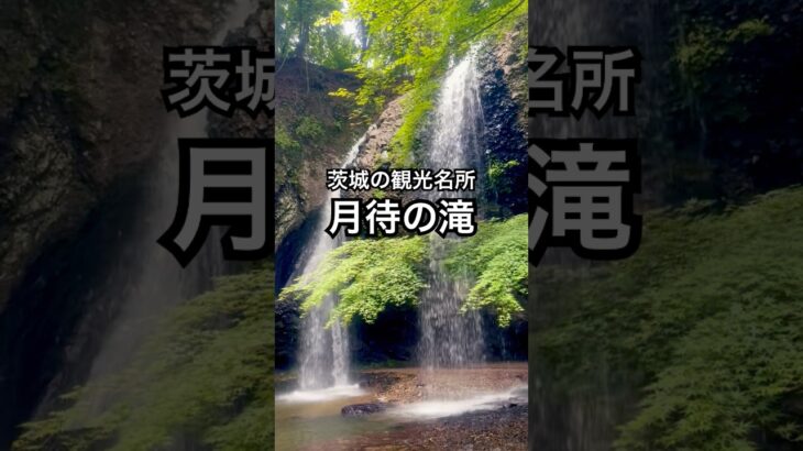 茨城 観光 大子町 月待の滝 滝の裏側 新緑 初夏 もみじ苑