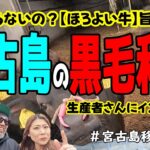 2023年 【衝撃】宮古島で黒毛和牛を育てる夫婦に会ってきた!(^^)!