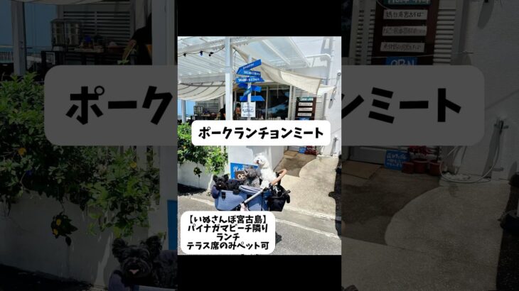 2023年 愛犬と行く宮古島🏝️今回は、パイナガマビーチ隣にあるお店【ポークランチョンミート】さんのご紹介です🐶#宮古島#宮古島グルメ#宮古島観光#宮古島旅行島#宮古島旅行#愛犬#愛犬がいる暮らし