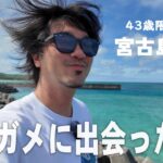 2023年 【宮古島/４３歳/ほぼ無職】ウミガメに癒されたて晩酌した平日vlog