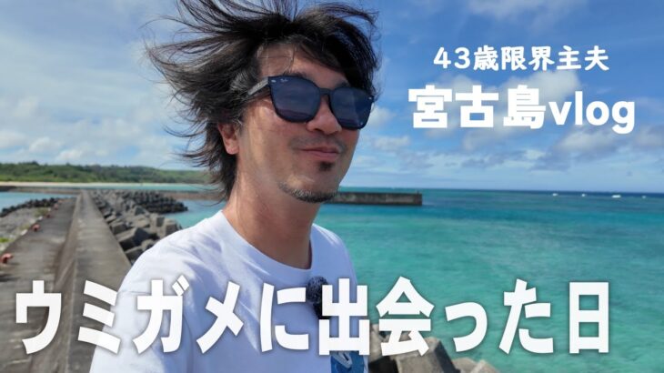 2023年 【宮古島/４３歳/ほぼ無職】ウミガメに癒されたて晩酌した平日vlog