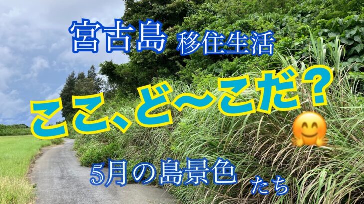 2023年 【vlog】宮古島移住生活🏝️5月の島風景とドライブ🐚＆千葉に行った話。✈️