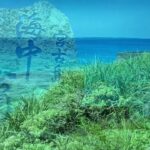 2023年 宮古島 ①  旅行 レンタカーで 池間島へ 海中公園 海と蝶 沖縄 #youtube #youtuber #ブログ #沖縄旅行 #宮古島 #シュノーケル #観光