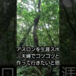 2023年 今日の珍客はミヤマカミキリ。早朝山林120分ウォーキングしました。宮古島は暑くなってきました。#アイアンマン #セカンドライフ #トライアスロン #宮古島 #移住