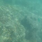 2023年 2024.7.9　宮古島：インギャーマリンガーデン
