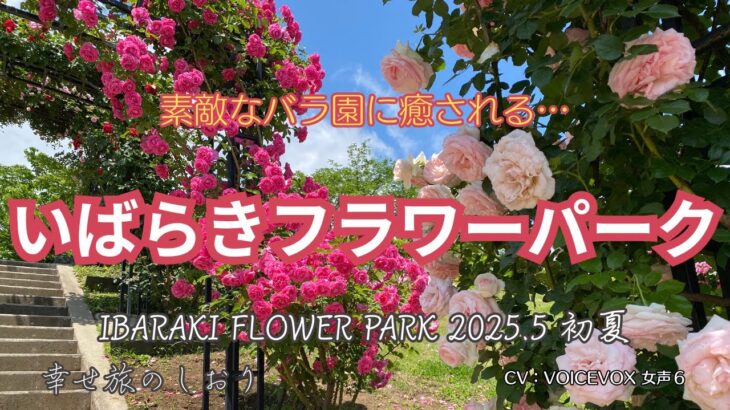 いばらきフラワーパーク 2025.5初夏