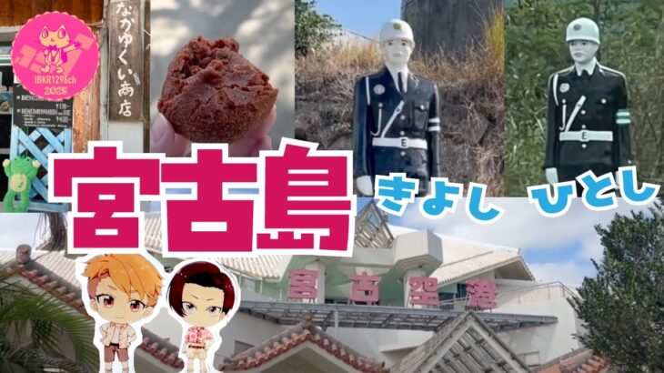 2023年 激うま 紅芋ぱんびん / 宮古島きよしくん ひとしくん  / リコリコみやこグッズ開封 / 宮古空港 / 宮古そば / ひとり旅 / 沖縄旅行 (2025年1月)
