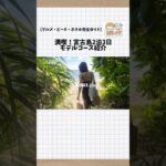 2023年 【宮古島】2泊3日モデルコース紹介！完全ガイド！#宮古島 #沖縄 #旅行