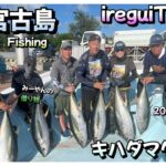 2023年 【宮古島遠征マグロ】宮古島2日目キハダマグロを釣りに出かけました。天気よく爆釣でした。https://youtu.be/b03FR4ldxwg　BM艇　ireguiTV 　入れ食いTV