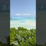 2023年 ＼沖縄マニアおすすめ／宮古島絶景スポット3選【中級編】#shorts #宮古島 #癒し #travel