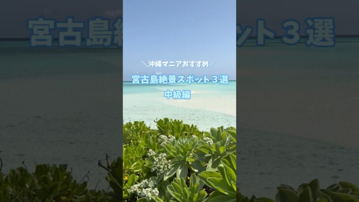 2023年 ＼沖縄マニアおすすめ／宮古島絶景スポット3選【中級編】#shorts #宮古島 #癒し #travel