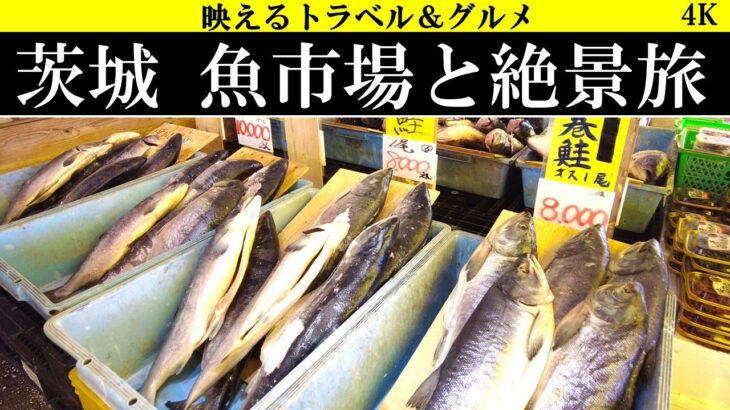 4K【絶景&絶品!】茨城県、那珂湊魚市場と絶景旅。大洗磯前神社にも！