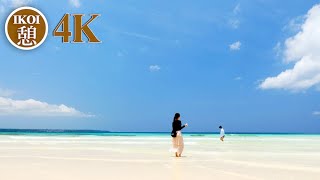 2023年 4K 美しく白き宮古島 The Beautiful White Miyakojima 日本景色 沖縄 白いビーチ Japanese scenery Okinawa White beach