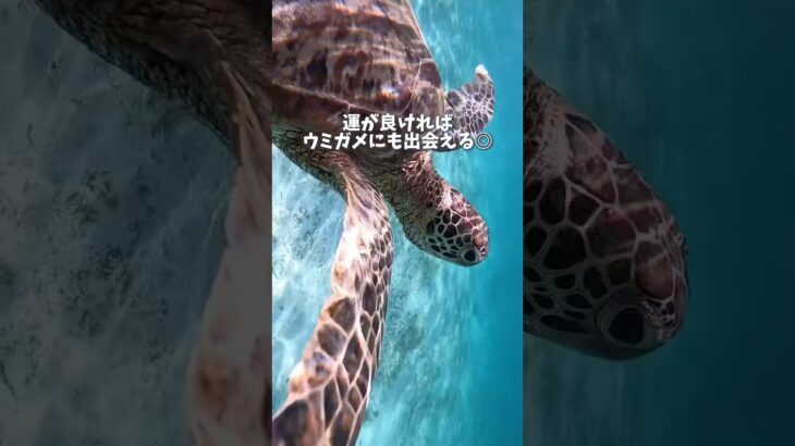 2023年 どこも絶景🌺✨ 宮古島のおすすめスポットを5つまとめたよ！ ぜひ参考にしてみてね〜！ # 宮古島 #宮古島#シュノーケル#沖縄デートスポット#宮古島旅行#沖縄旅行#記念日旅行#女子旅#ドローン