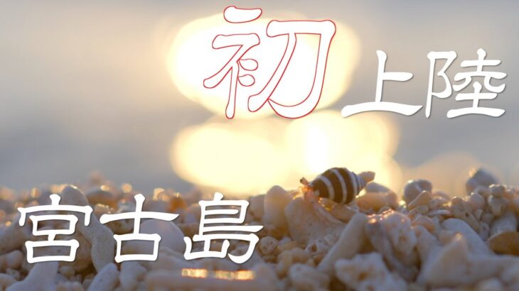 2023年 【初めて行った宮古島】50前のおじさんが初上陸した時のやつ