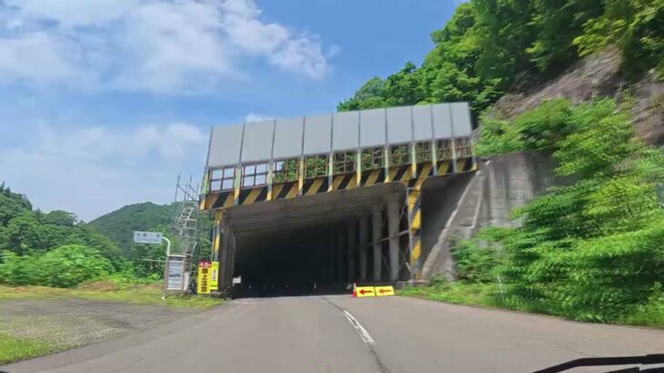2023年 宮古島さん(53)の生態を観察しよう