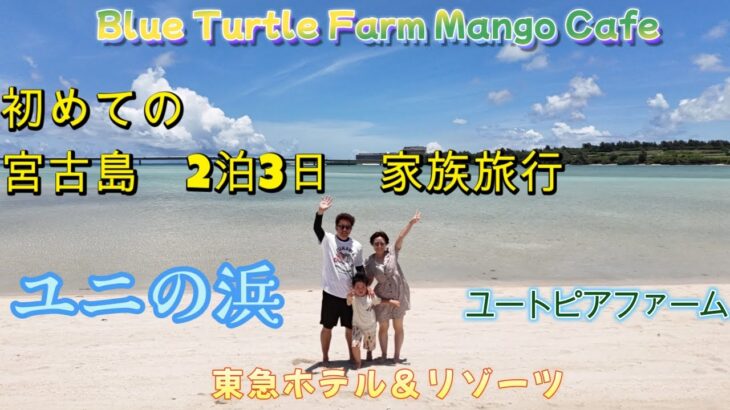 2023年 初めての宮古島 恋する家族旅行　6月　東急ホテル　17END　ユニの浜　生マンゴー　亀　道の駅　みやこ