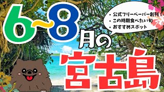 2023年 6月から8月の宮古島をご紹介🌺【ついに発行⁉️フリーペーパー❣️この時期食べたい旬のもの🥭謎解き解説🗺️】