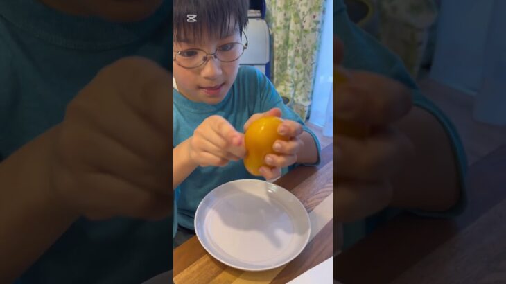 2023年 【8歳・自分で初編集✨】宮古島の”でかマンゴーグミ”食べてみた🥭