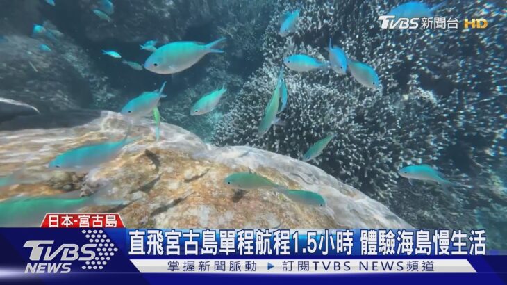 2023年 台北宮古島直飛8月啟航 一探「宮古藍」海色｜TVBS新聞 @TVBSNEWS01