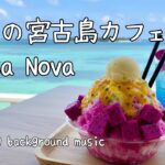 2023年 【作業用・勉強用BGM】常夏の沖縄・宮古島カフェBossa Nova [30 Min] | Relaxing Music for Study and Work