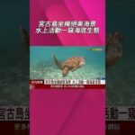 2023年 宮古島坐擁絕美海景!水上活動.觀星泡湯.打高球一應俱全 日圓甜甜價助攻…宮古島奢華旅遊CP值高｜非凡財經新聞｜20250610 #shorts