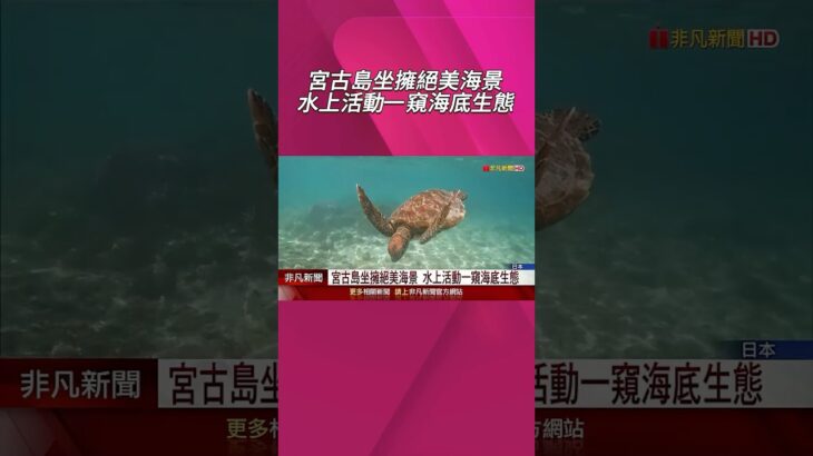 2023年 宮古島坐擁絕美海景!水上活動.觀星泡湯.打高球一應俱全 日圓甜甜價助攻…宮古島奢華旅遊CP值高｜非凡財經新聞｜20250610 #shorts