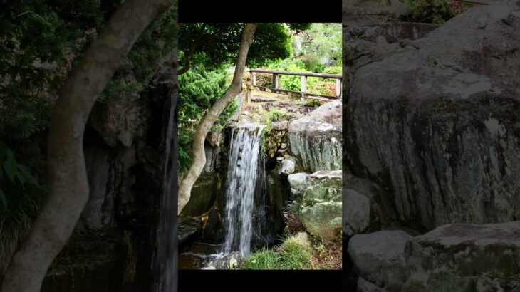 茨城県水戸市にある水戸黄門も愛した　保和苑をCanon EOS 5D markⅡで撮影 #写真 #旅行 #観光#日本庭園#滝