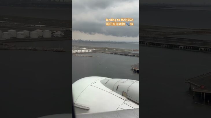 2023年 #羽田空港 #JAL #着陸　landing HANEDA #hnd 宮古島空港から羽田空港着陸02 2025 0411