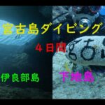 2023年 ダイビングLOG-23「2025.5.23~26 宮古島ダイビング」