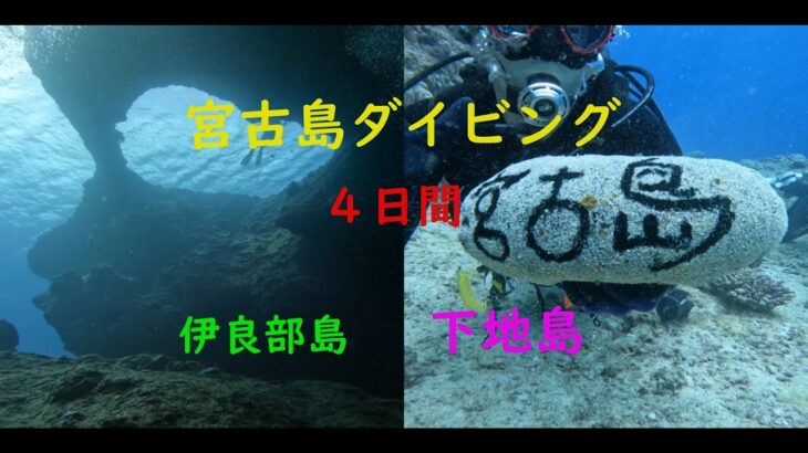 2023年 ダイビングLOG-23「2025.5.23~26 宮古島ダイビング」