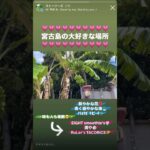 2023年 #宮古島 #Miyako #okinawa #japan #shorts