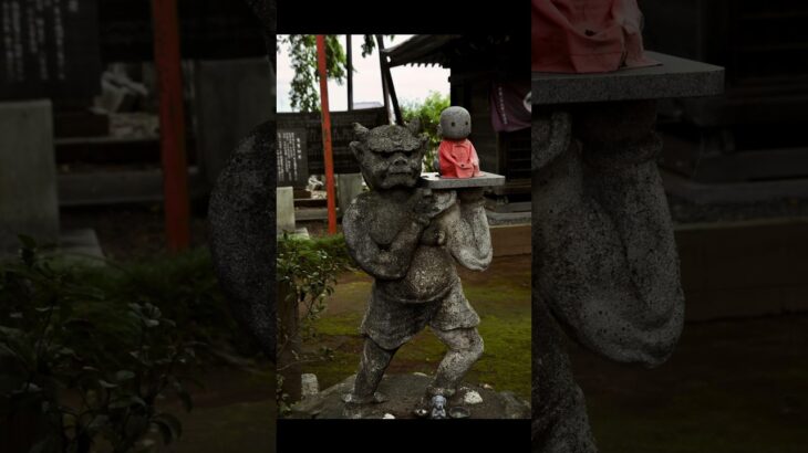 茨城県水戸市にある水戸大師　六地蔵寺をNikon D300で撮影 #写真 #神社仏閣#パワースポット #旅行 #観光