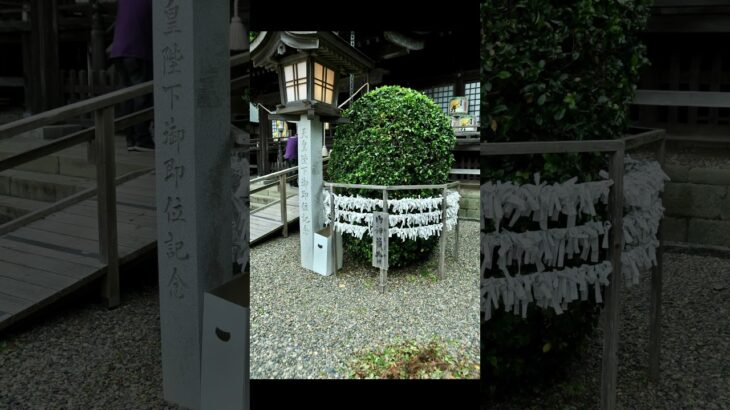 茨城県ひたちなか市にある橿原神宮をオールド一眼レフ　NikonD300で撮影 #写真 #神社仏閣 #パワースポット #旅行 #観光