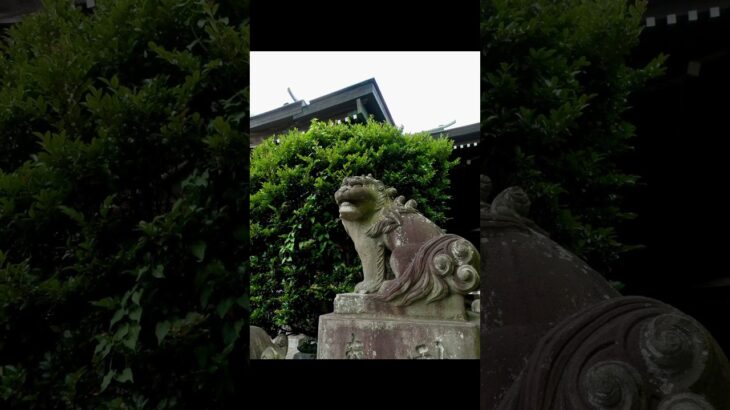 茨城県水戸市にある別雷皇太神をOLYMPUS SZ14で撮影#写真 #神社仏閣 #旅行 #パワースポット #観光