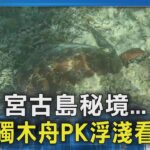 2023年 宮古島秘境… 水上獨木舟PK浮淺看海龜｜TVBS新聞 @TVBSNEWS02