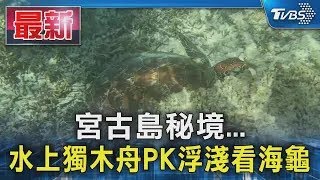 2023年 宮古島秘境… 水上獨木舟PK浮淺看海龜｜TVBS新聞