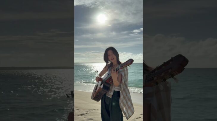 2023年 Take me back to the ocean 🐚