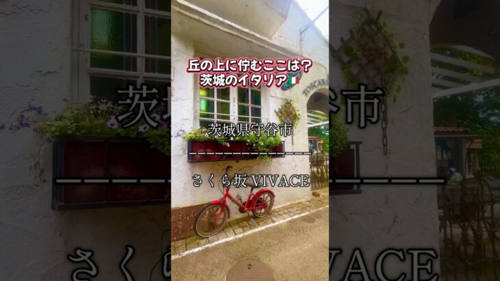 【丘の上に佇むここは❓茨城のイタリア🇮🇹 さくら坂VIVACE 茨城県守谷市】#茨城県 #茨城県グルメ #茨城グルメ