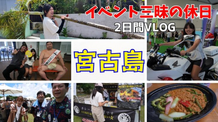 2023年 【宮古島VLOG】激熱!!イベント三昧の2日間/宮古島初カレーフェス/お相撲さん触れ合いイベント/鉄板焼きパーリィー/ヤシの木伐採【2DAYSVLOG】
