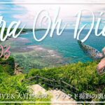 2023年 [VLOG]宮古島でLIVEしつつ大自然を満喫したり、日々のミーティングやリハーサル、SAMPLESブランド撮影の裏側など