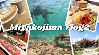 2023年 【宮古島Vlog/後編】シギラベイサイドスイート アラマンダ泊・琉宮苑/宮古神社/ブルアル/アンサンブルコーヒー
