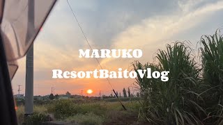 2023年 【Vlog】宮古島リゾートバイトの日常|作る！食べる！食べる！