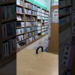 2023年 ☁️🌧️☁️…宮古島新聞📰…am…6月4日……🥸