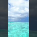 2023年 八重干瀬　#宮古島 #beach #relax #peace #自然音 #vlog #ocean #水の音 #夏の思い出 #海 #sae #波 #travel #shorts