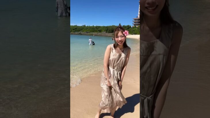 2023年 【お一人様は需要ないけど/それでも踊る宮古島/愛犬はお留守番中】#チワワ #chihuahua #スティッチ #海 #宮古島 #振り付け #癒し #ディズニー