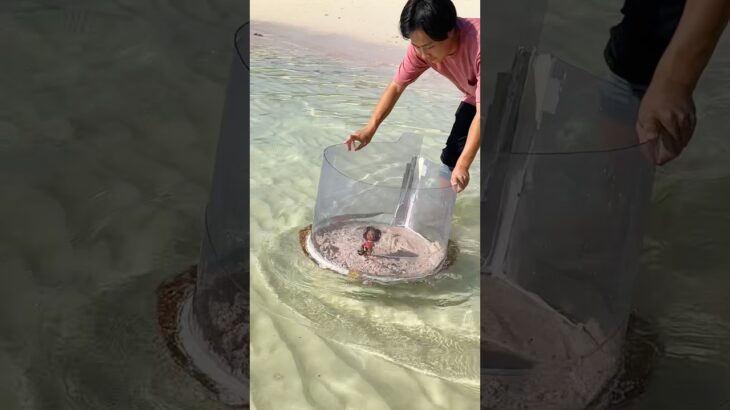 2023年 宮古島でモアナのシーン再現してみた👩🏽‍🦱アクリル板と綺麗な海で簡単に再現出来るから試してみてね！ #disney #宮古島#モアナ