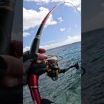 2023年 地球を釣る…#釣り #fishing #ふかせ釣り #宮古島