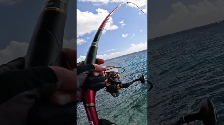 2023年 地球を釣る…#釣り #fishing #ふかせ釣り #宮古島